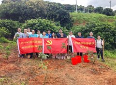 共绘绿美画卷 NG游戏党支部开展植树主题党日活动
